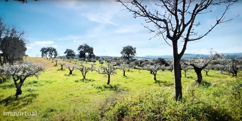 13m² Land in Capinha, Portugal No. 332809