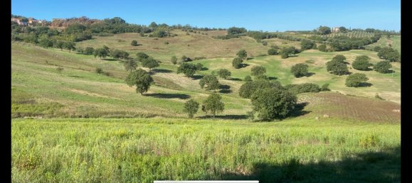 10 rooms House in Cinigiano, Italy No. 298436 13