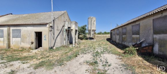 3 bedrooms House in Santarem, Portugal No. 144259 23