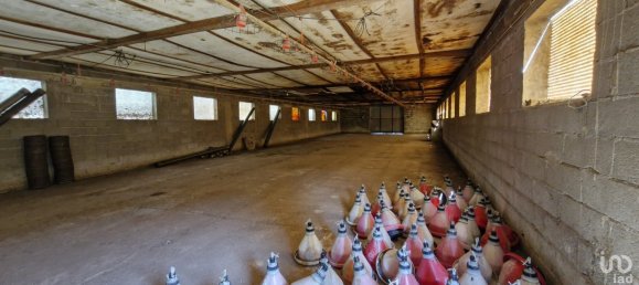 3 bedrooms House in Santarem, Portugal No. 144259 25