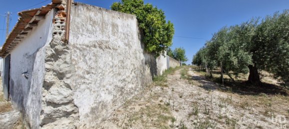 3 bedrooms House in Santarem, Portugal No. 144259 28