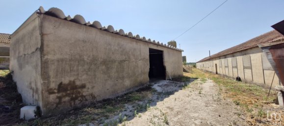 3 bedrooms House in Santarem, Portugal No. 144259 24