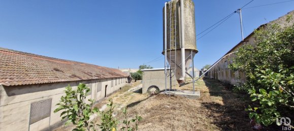 3 bedrooms House in Santarem, Portugal No. 144259 27