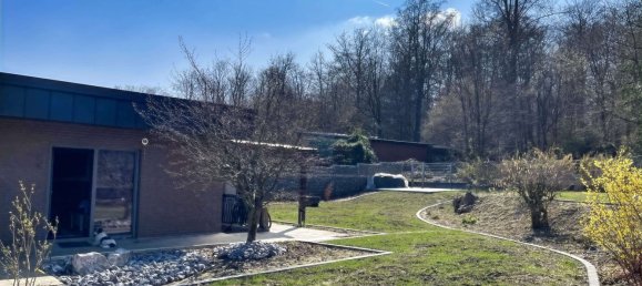 7 bedrooms Bungalow in Rhein-Erft, Germany No. 166457 3