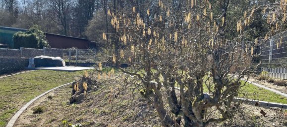 7 bedrooms Bungalow in Rhein-Erft, Germany No. 166457 12