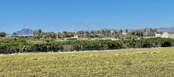 6 bedrooms Villa in Guardamar del Segura, Spain No. 184751 32