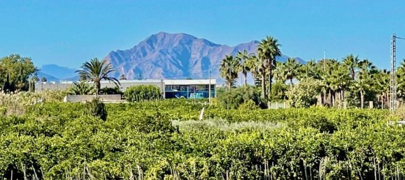 6 bedrooms Villa in Guardamar del Segura, Spain No. 184751 33