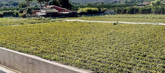 6 bedrooms Villa in Guardamar del Segura, Spain No. 184751 31