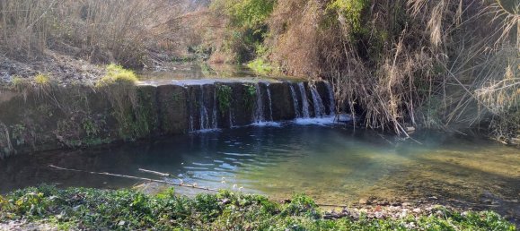 12 chambres Maison à Torrelavit, Spain No. 114722 23