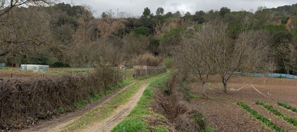 12 chambres Maison à Torrelavit, Spain No. 114722 25