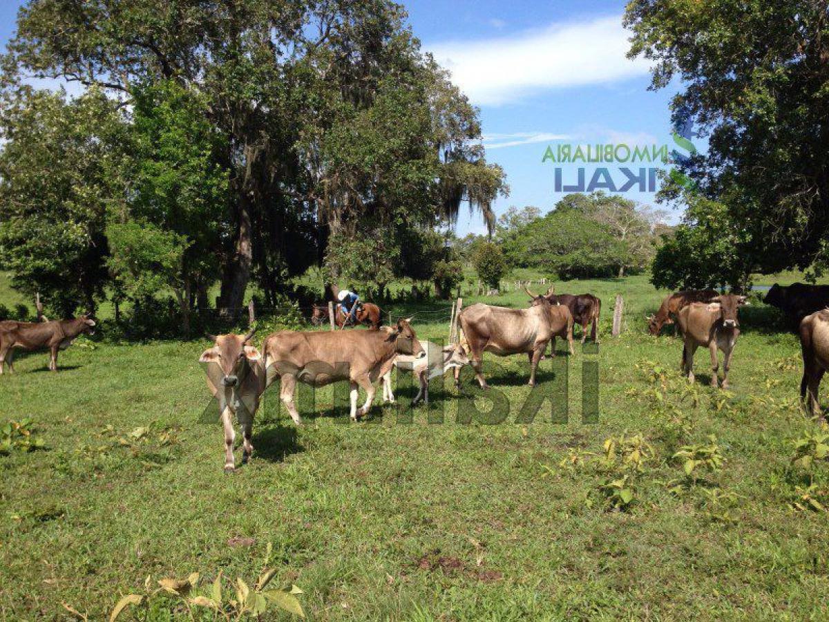 Terrain à Veracruz, Mexico No. 205869