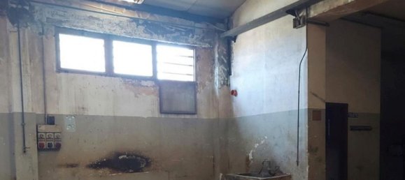 1545m² Warehouse in Marsala, Italy No. 372075 14