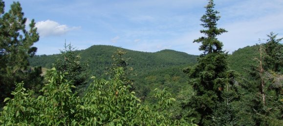 3غرفة منزل في Rufina, Italy رقم 286742 23