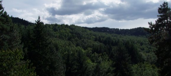 3غرفة منزل في Rufina, Italy رقم 286742 31