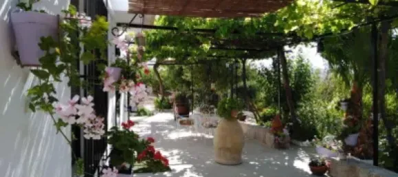 6 bedrooms House in Jaen, Spain No. 136050 2