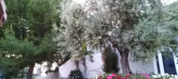 6 bedrooms House in Jaen, Spain No. 136050 17