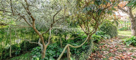 Дом с 5 комнатами в Сироло, Италия № 7328 14