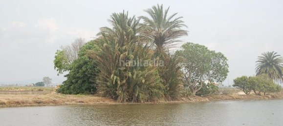 158m² Land in Amposta, Spain No. 24974 13