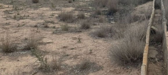  قطعة أرض في Librilla, Spain رقم 165118 4