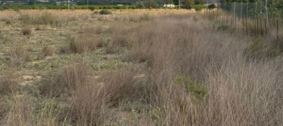  قطعة أرض في Librilla, Spain رقم 165118 3