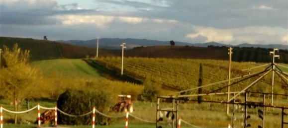 5 Schlafzimmer Gewerbliche Immobilie in Scansano, Italy, Nr. 65451 16