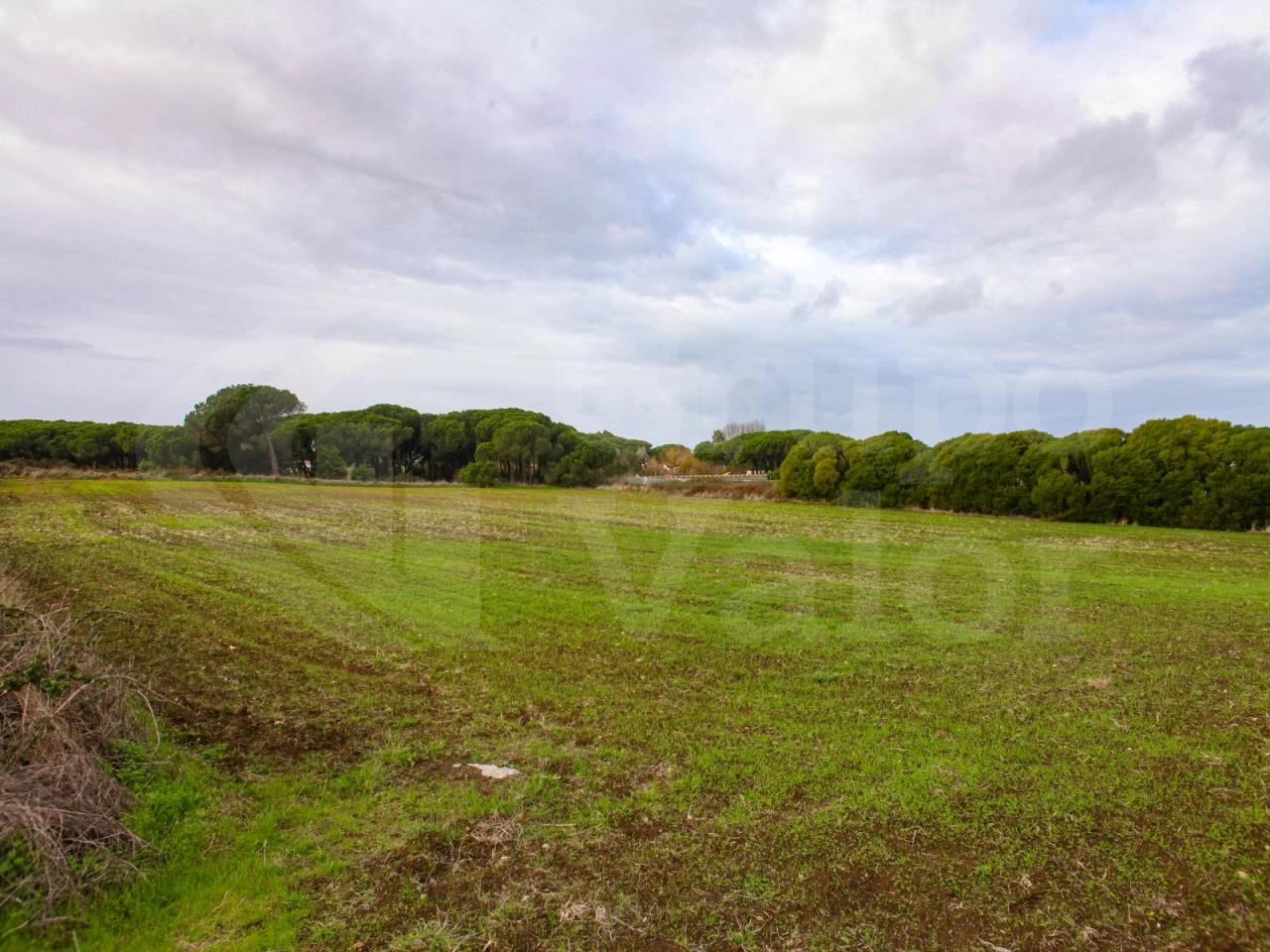  قطعة أرض في Sintra, Portugal رقم 81554