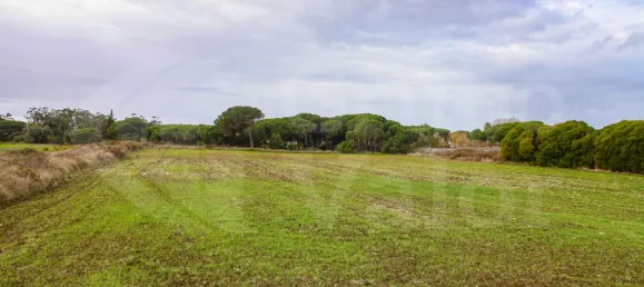 قطعة أرض في Sintra, Portugal رقم 81554 2