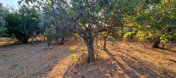3 chambres Villa à Gallicano nel Lazio, Italy No. 363218 32