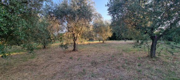 3 chambres Villa à Gallicano nel Lazio, Italy No. 363218 34