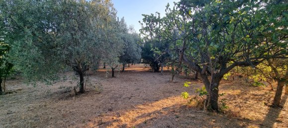 3 chambres Villa à Gallicano nel Lazio, Italy No. 363218 7