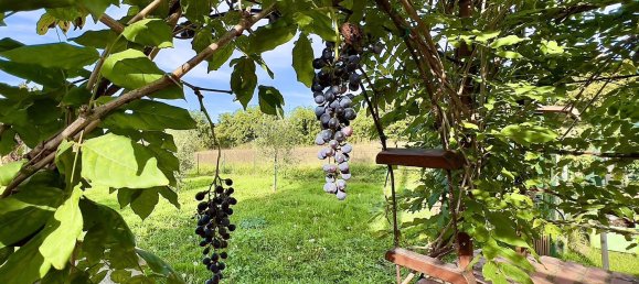 6 rooms Villa in Città della Pieve, Italy No. 56033 17