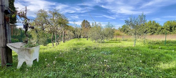 6 rooms Villa in Città della Pieve, Italy No. 56033 25