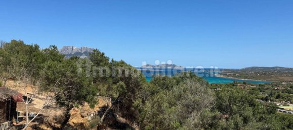 4 Schlafzimmer Haus in Olbia, Italy, Nr. 317613 2