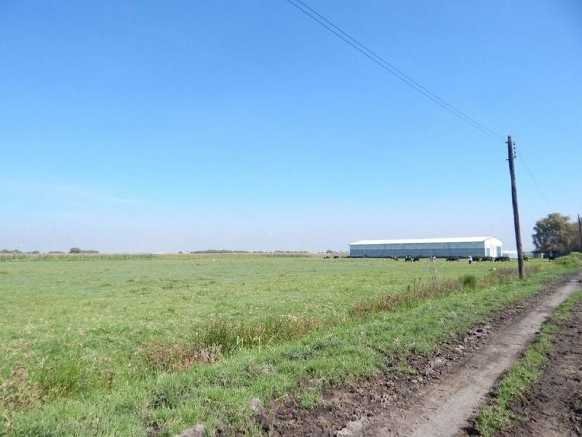  Land in Lerma, Mexico No. 203622