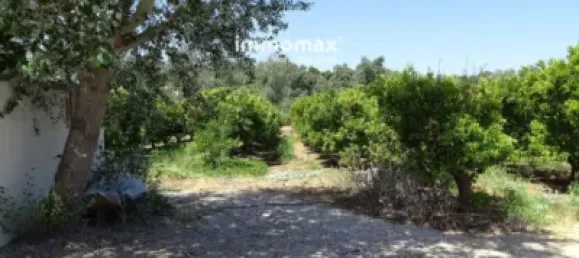 2 Schlafzimmer Haus in Tortosa, Spain, Nr. 173280 7