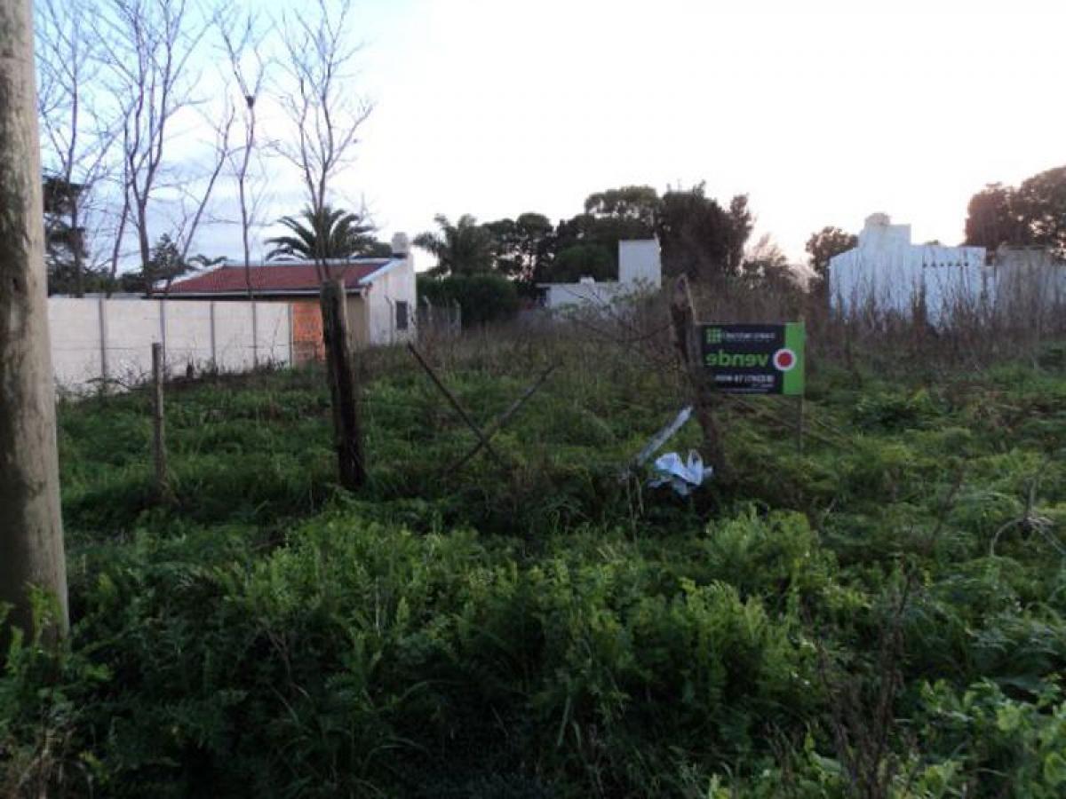  Land in Chascomus, Argentina No. 46169