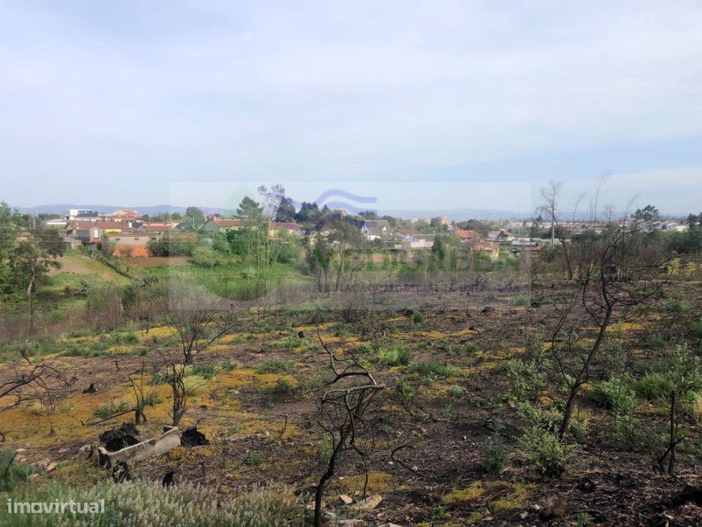 12500m² Land in Albergaria a Velha, Portugal No. 245837