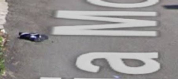 Коммерческая недвижимость 20м² в Рим, Италия № 294325 3