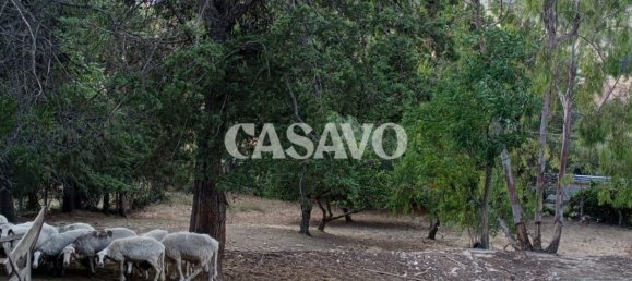 Casa de 4 dormitorios en Cerveteri, Italy No. 323193 4