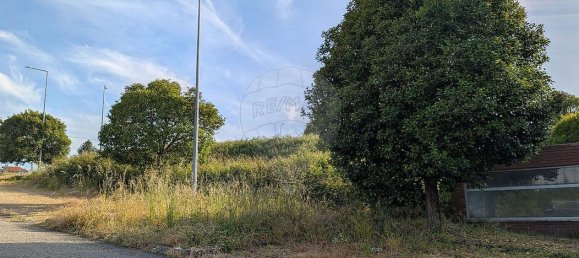  Land in Argoncilhe, Portugal No. 224498 2