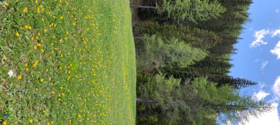 4 Schlafzimmer Penthouse in Cortina d'Ampezzo, Italy, Nr. 106192 7