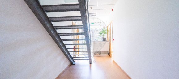  مستودع في Atalaia, Portugal 529متر مربع رقم 65477 15