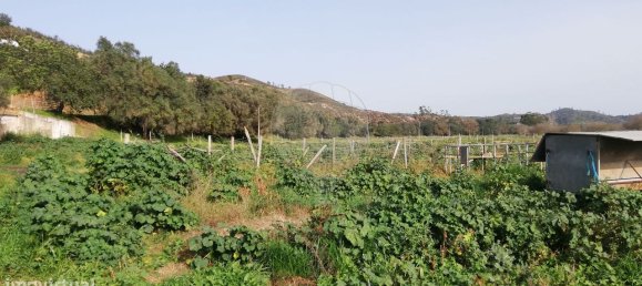 9 غرف نوم قلاع في Silves, Portugal رقم 65684 25