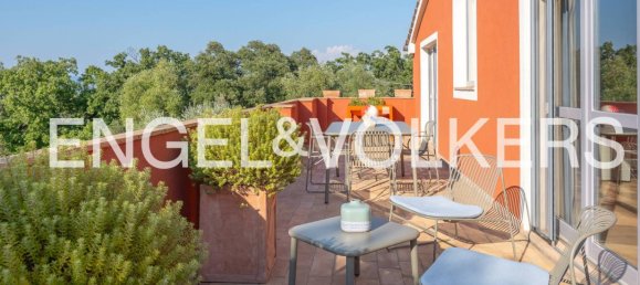 11 bedrooms Villa in Scarlino, Italy No. 131327 29