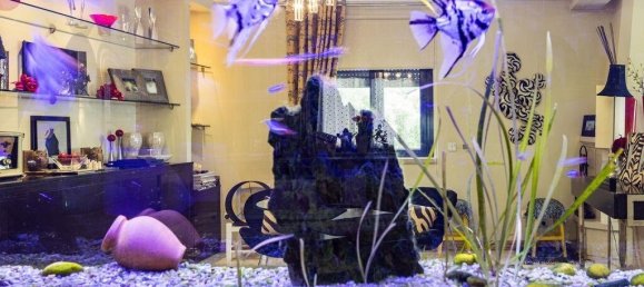 5 bedrooms Villa in Palmela, Portugal No. 245165 16