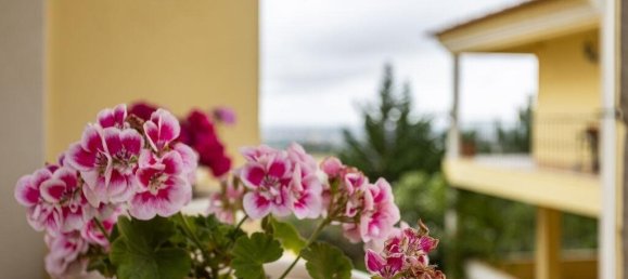 5 bedrooms Villa in Palmela, Portugal No. 245165 3