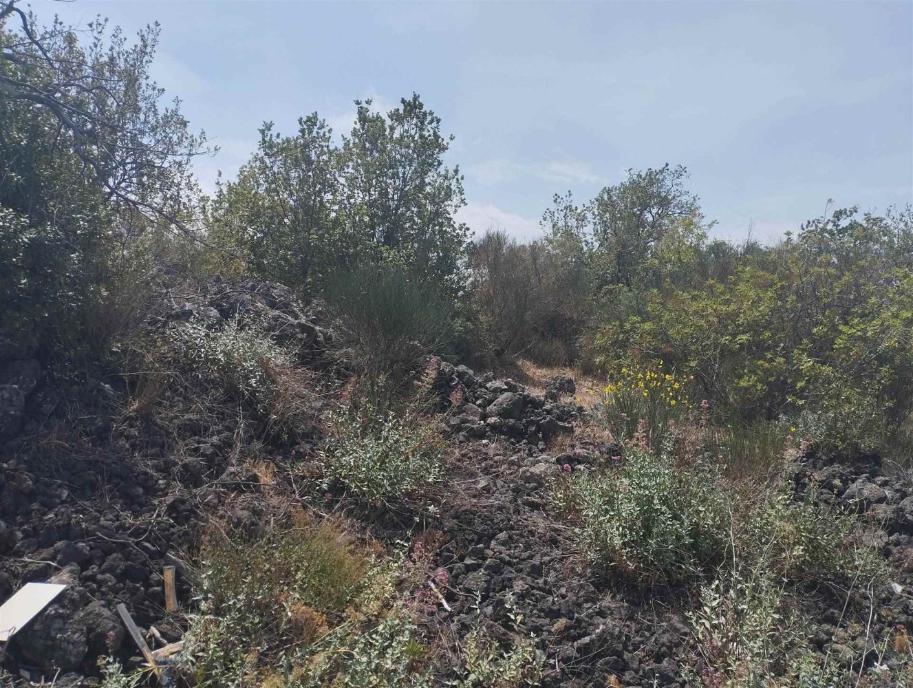 2800m² Land in Catania, Italy No. 51231