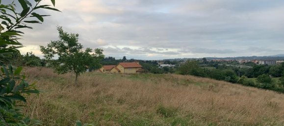 9000m² Land in Oviedo, Spain No. 138050 6
