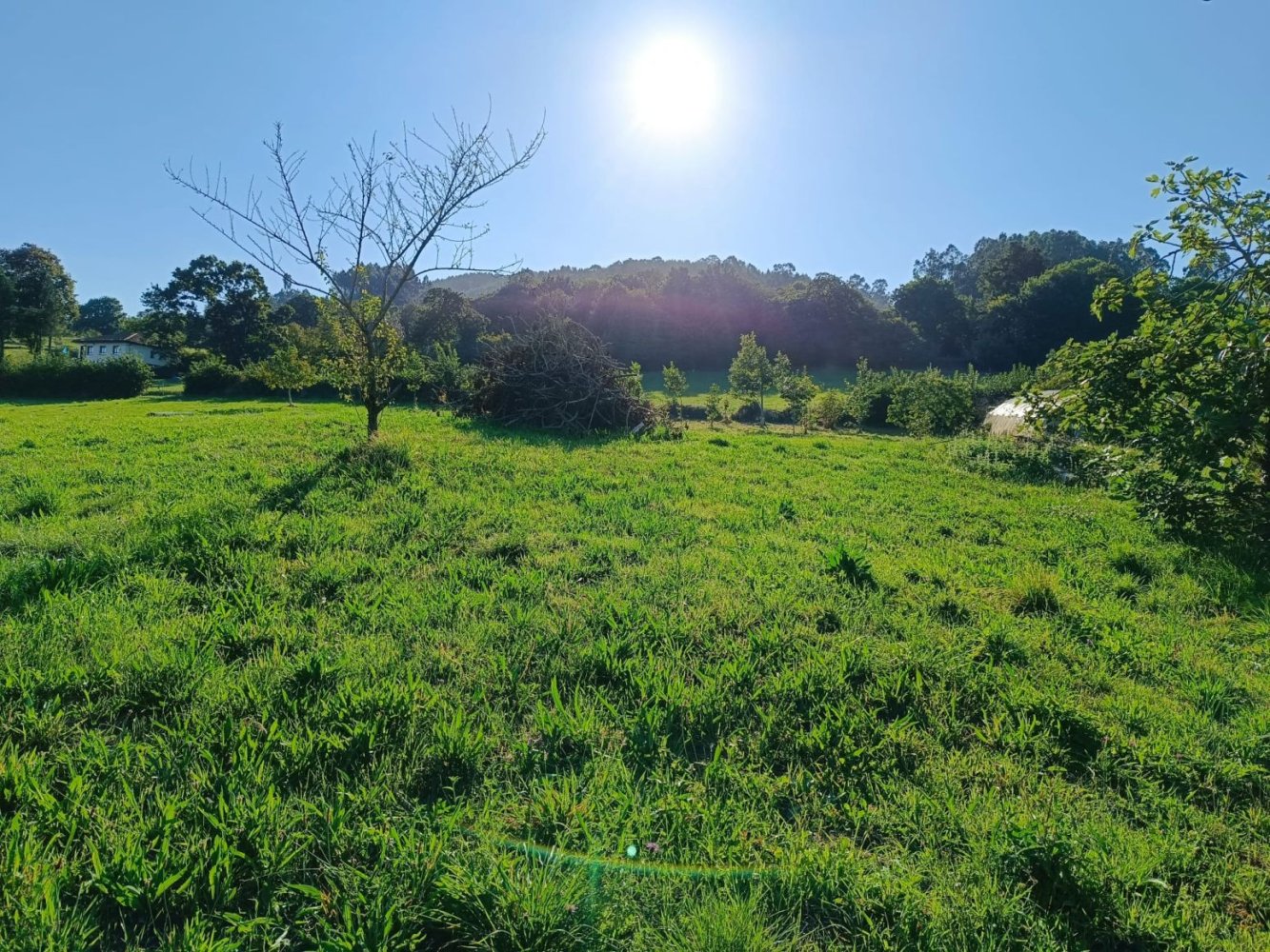 9000m² Land in Oviedo, Spain No. 138050