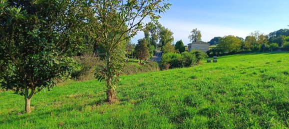 9000m² Land in Oviedo, Spain No. 138050 5